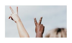 59% oppose, 13% support politicians using racial remarks
