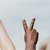 59% oppose, 13% support politicians using racial remarks