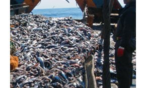 Bottom trawling concern surging, ocean issues climb voter agenda