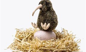 55% thinking of increasing KiwiSaver contributions