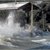 54% think storm damage will get worse